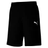 PUMA Herren TeamGOAL 23 Casuals Shorts Trainingshose 656581 Schwarz 8