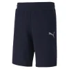 PUMA Herren TeamGOAL 23 Casuals Shorts Trainingshose 656581 Blau 8